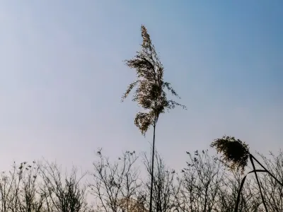 Bit4win Casino Mobiele App